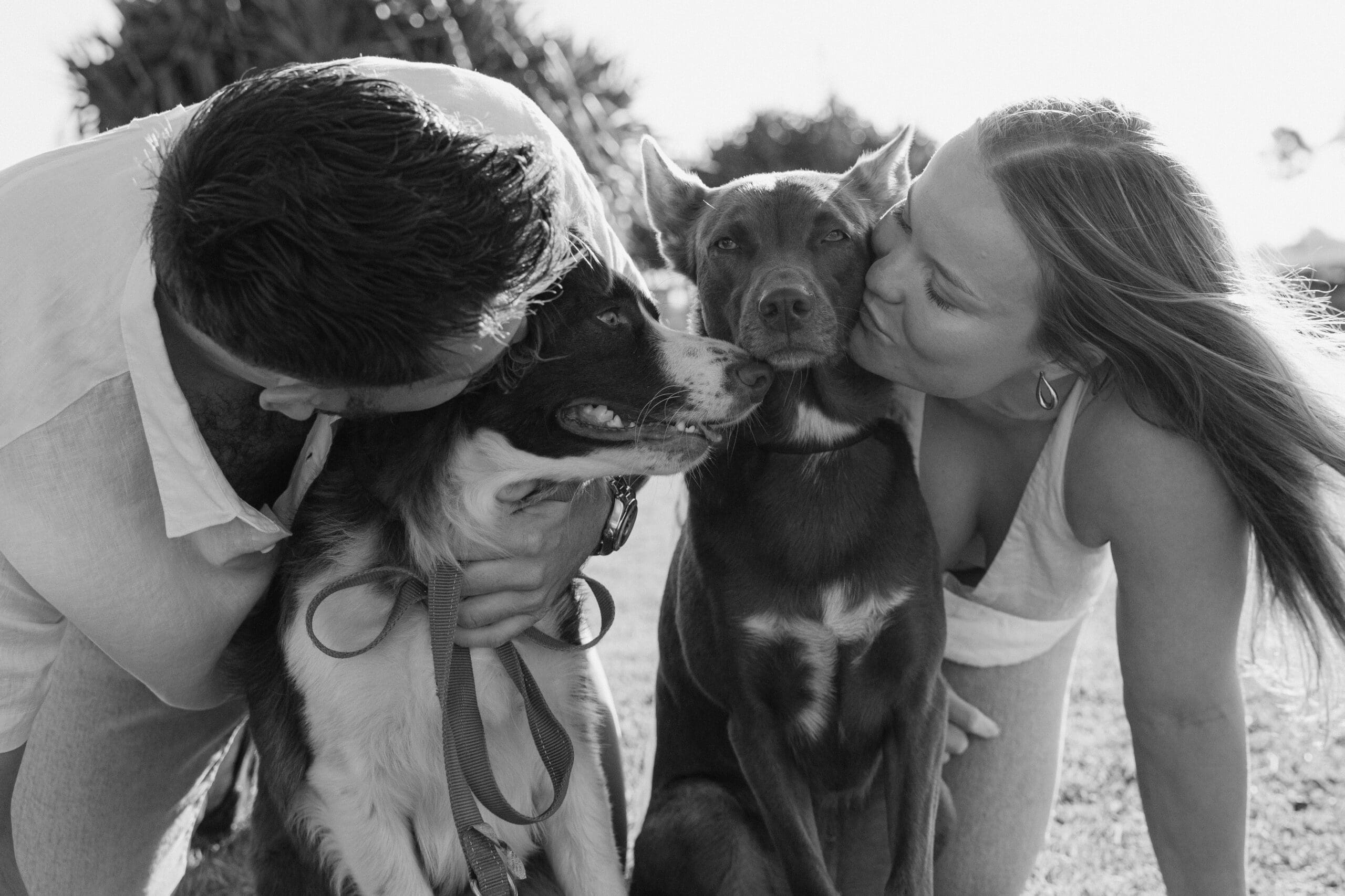 Couple cuddling and kissing their two dogs during a relaxed outdoor engagement photoshoot, captured in black and white natural light.